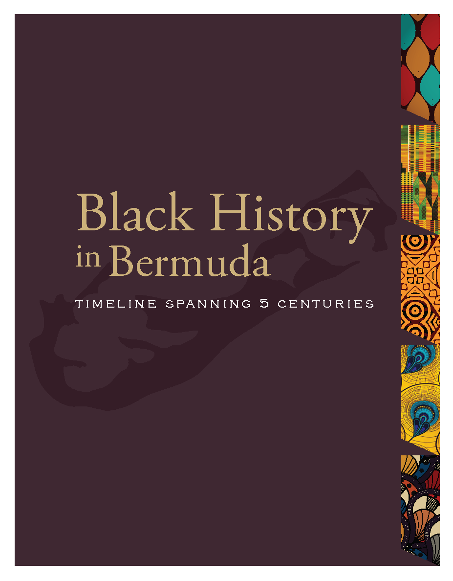 Title details for Black History in Bermuda by Citizens Uprooting Racism in Bermuda - Available